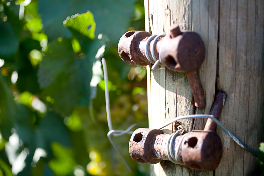 Winery post with grape vine in the background