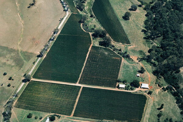 Aerial view of Darling Estate's Koombahla Vineyard